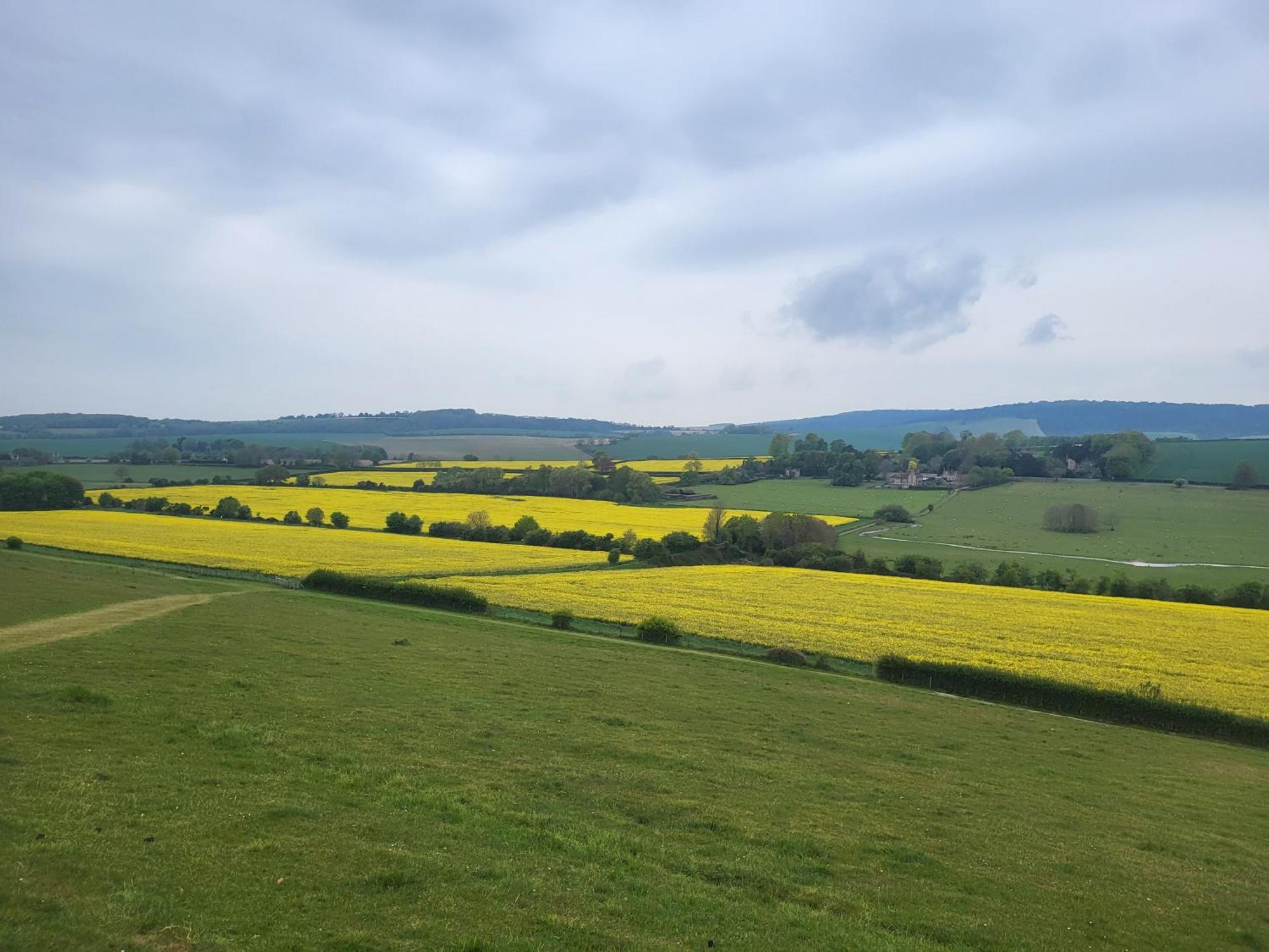 Unique & Rural Child Friendly Annexe With Large Gardens, Games & Tennis Court - Chichester Holiday Properties Экстерьер фото