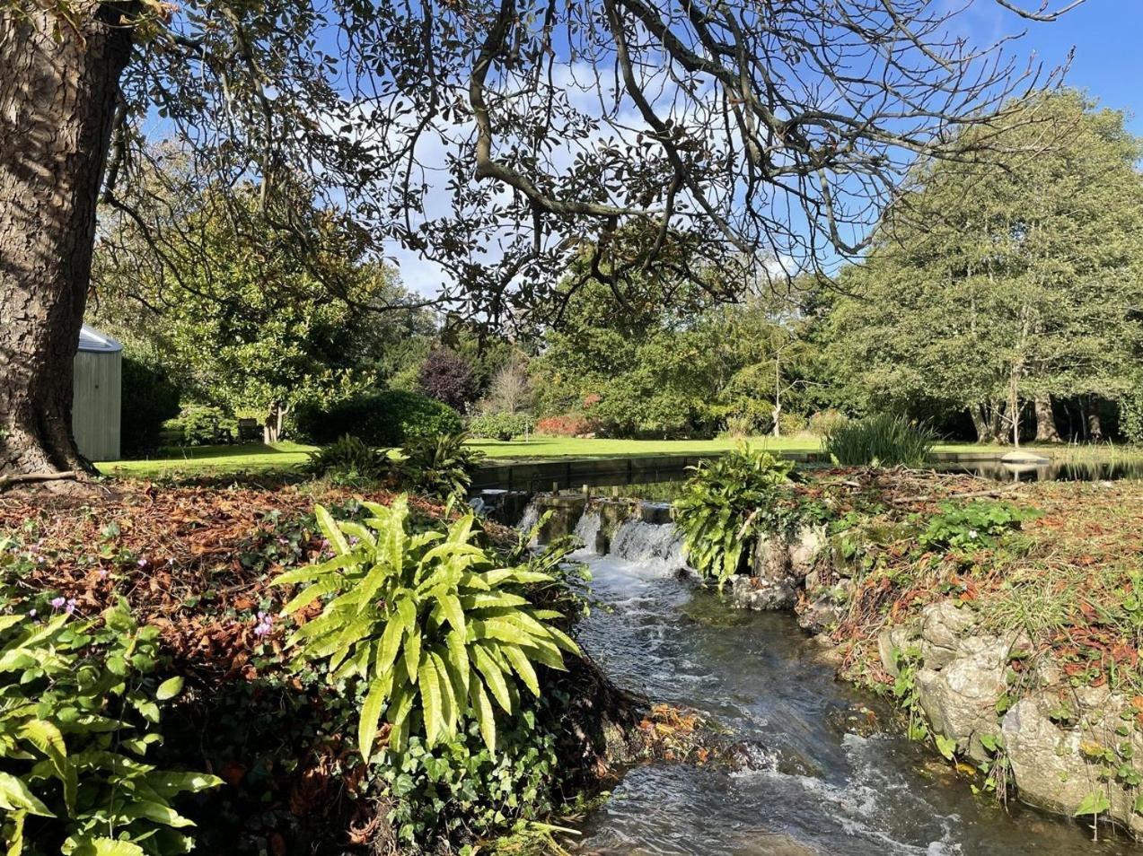 Unique & Rural Child Friendly Annexe With Large Gardens, Games & Tennis Court - Chichester Holiday Properties Экстерьер фото