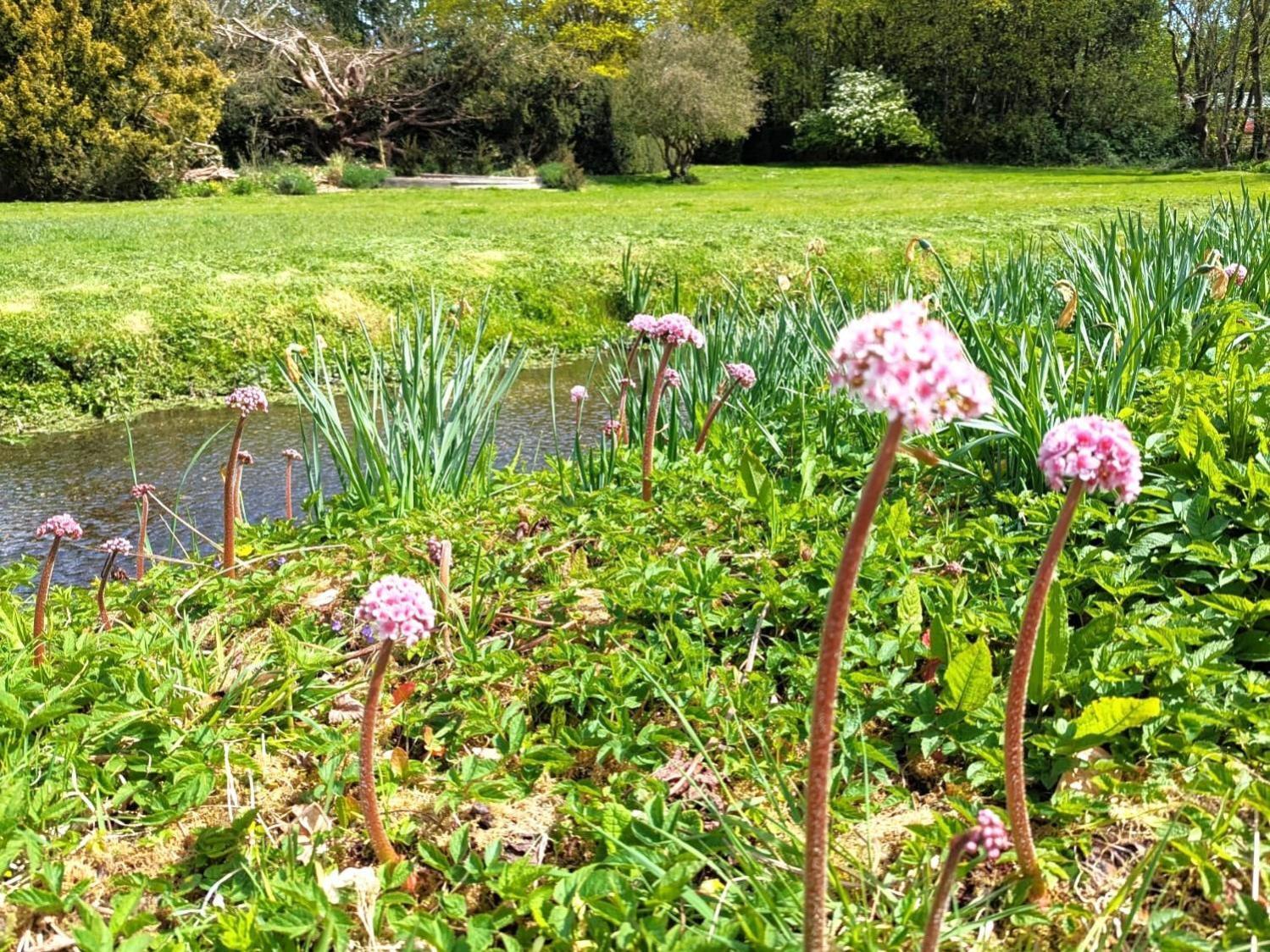 Unique & Rural Child Friendly Annexe With Large Gardens, Games & Tennis Court - Chichester Holiday Properties Экстерьер фото