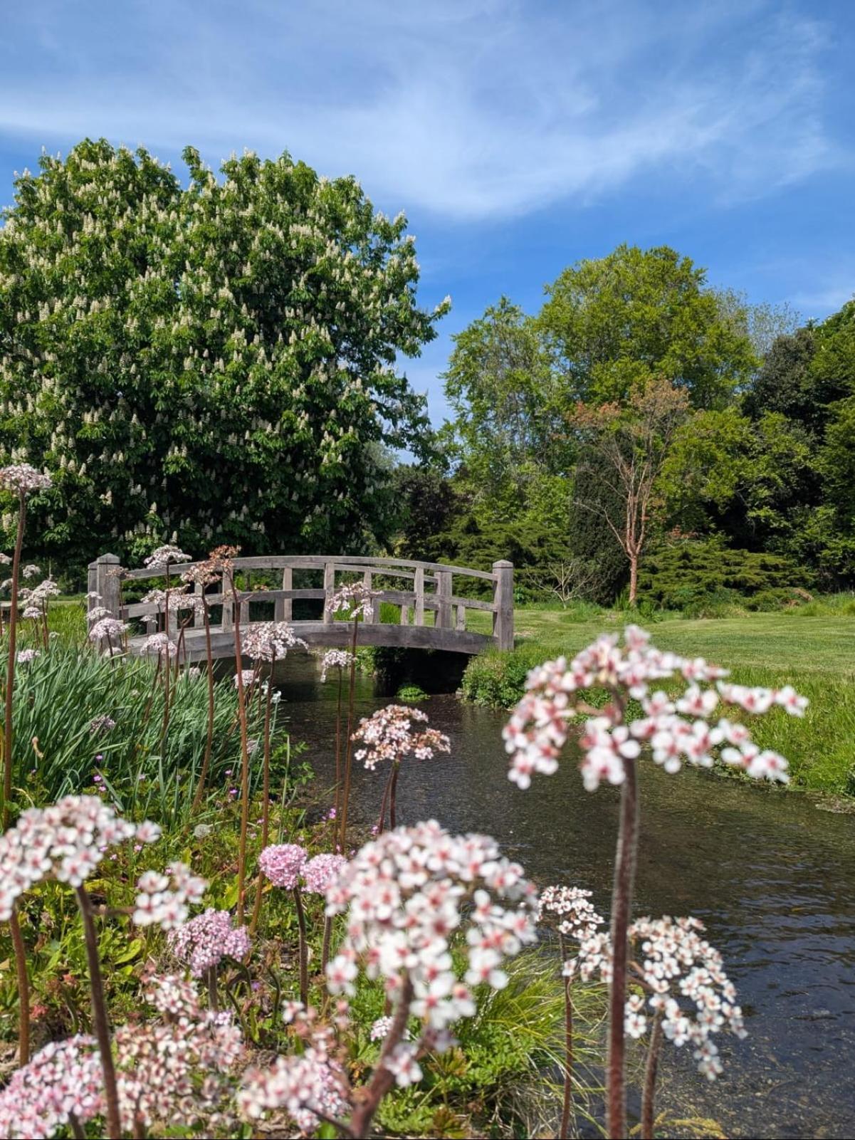 Unique & Rural Child Friendly Annexe With Large Gardens, Games & Tennis Court - Chichester Holiday Properties Экстерьер фото